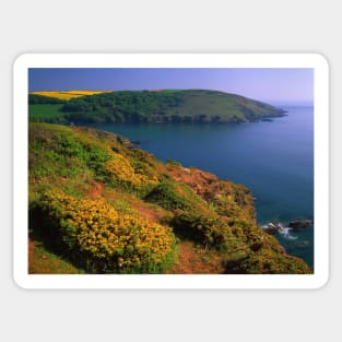 Yealm Estuary near Wembury Sticker